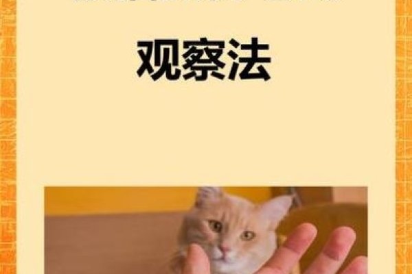梦见被猫挠，情感受伤与挫折的警示-新乐天