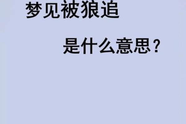 梦见被狼追，梦境背后的深层含义与解析-新乐天