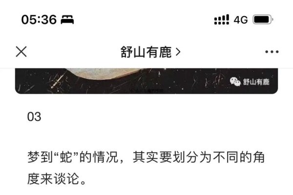 梦见大白蛇，梦境背后的深层含义与解析-新乐天