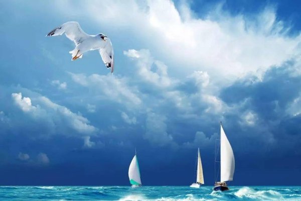 梦见大海涨潮，心灵的共鸣与梦的探索-新乐天