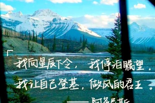 梦见大难不死，心灵之境中的坚韧之歌-新乐天