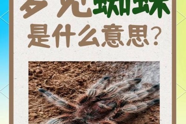 梦见大蜘蛛，梦境背后的深层含义与解析-新乐天