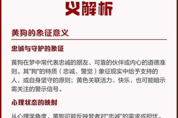 梦境的追逐，解析梦见被狗追的深层含义-新乐天