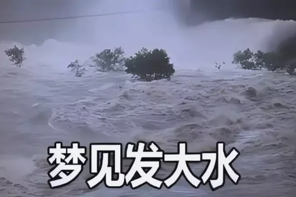 梦见发大水，深层含义与解析-新乐天