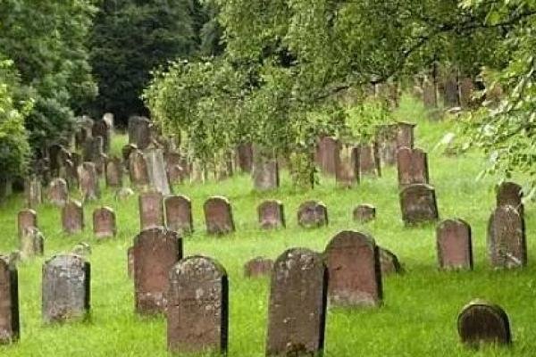 梦见很多坟墓，生命的沉淀与荒诞交织-新乐天