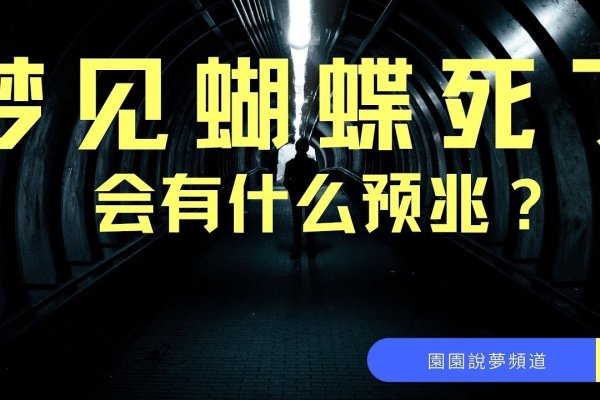 梦见黑蝴蝶，神秘与转变的预兆-新乐天