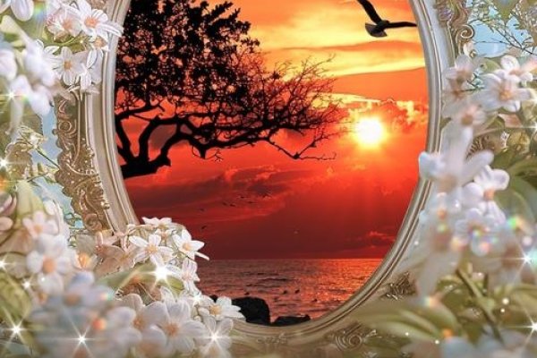 梦见家人团聚，心灵的慰藉与现实的期盼-新乐天