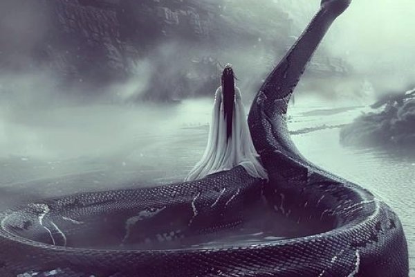 梦境迷踪，我于蟒蛇之影下的逃亡-新乐天