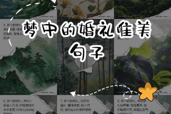 梦见亲人结婚，梦中的温馨与现实交织，揭示亲情如诗般真挚-新乐天