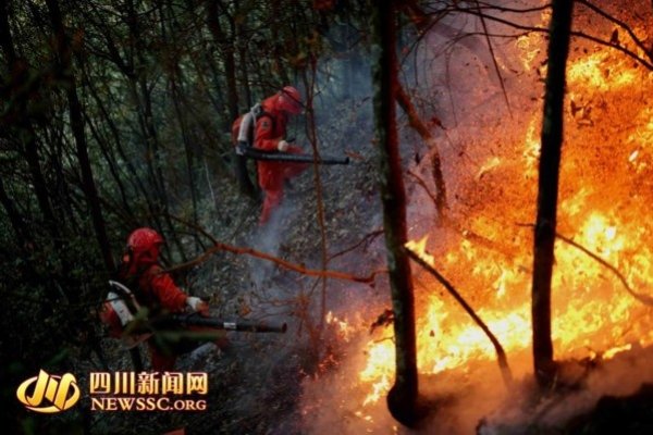 梦见上坟烧纸，人间至情与心灵觉醒的交织-新乐天