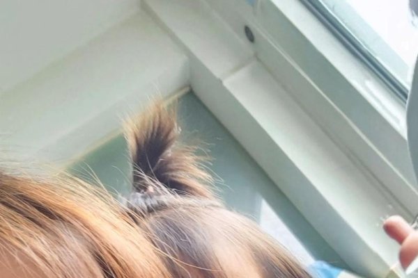 梦见收养小女孩，爱的瞬间与心灵的重生-新乐天