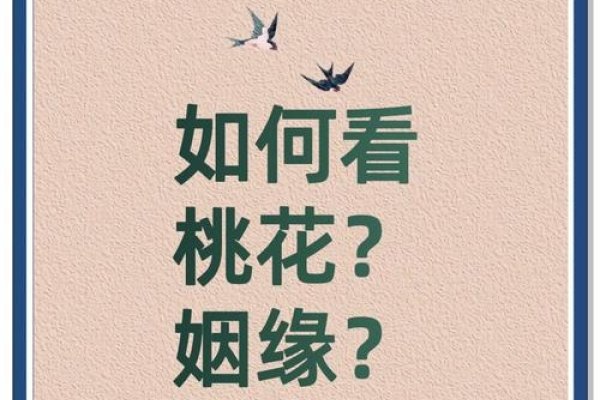 梦见他人穿婚纱，桃花运多，人际联结更紧密 。-新乐天