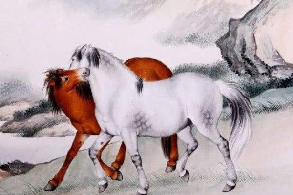 马角乌头揭秘生肖之谜-新乐天