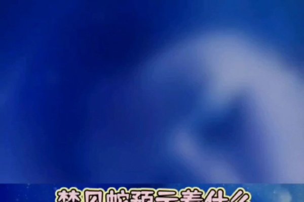 梦见蛇，预示着什么？-新乐天