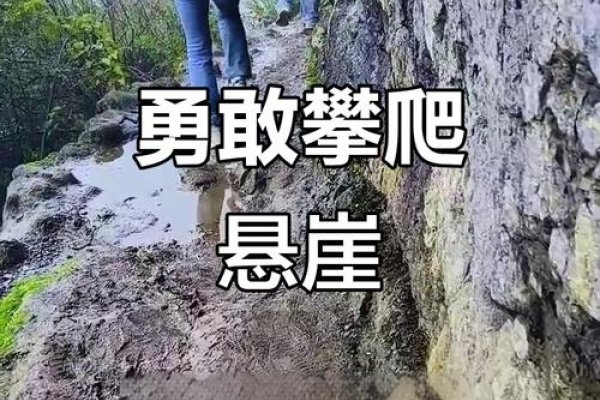 梦见爬悬崖峭壁，探索内心深处的勇气与挑战-新乐天