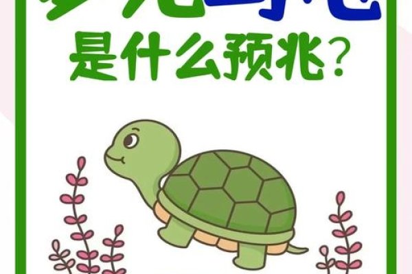 梦见乌龟咬人，寓意与解析的深度探索-新乐天
