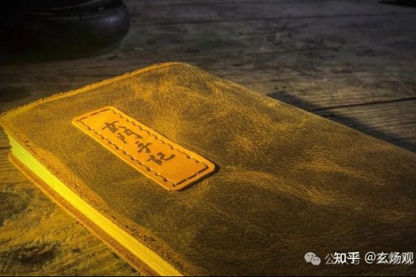 梦见狗咬手，梦境中的情感暗涌-新乐天