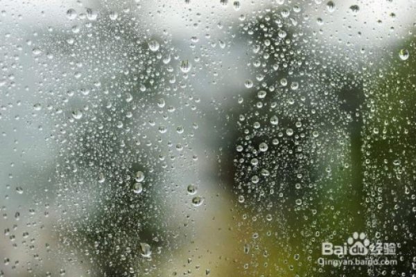 梦见下雨，征兆的解读与解析-新乐天