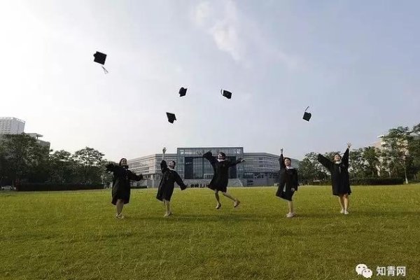梦见已故的同事，记忆的回响与情感的桥梁-新乐天