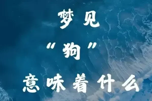 梦见一群狗有何解读？-新乐天