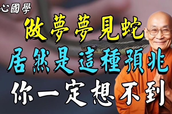 梦境中的黑色大蟒蛇，玄机与启示-新乐天