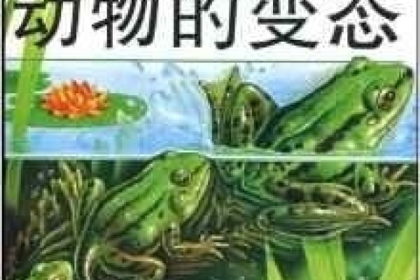 梦境中的动物伴侣，探索梦境与自然界的神秘联系-新乐天