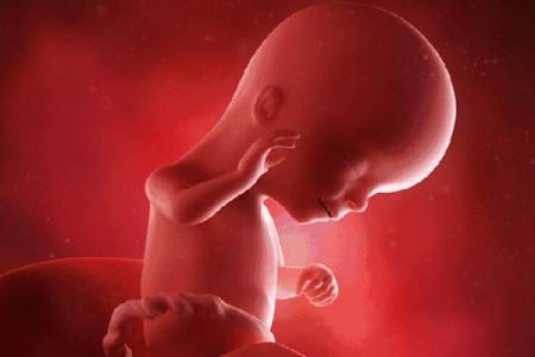 梦见自己怀孕，究竟是何预兆？-新乐天