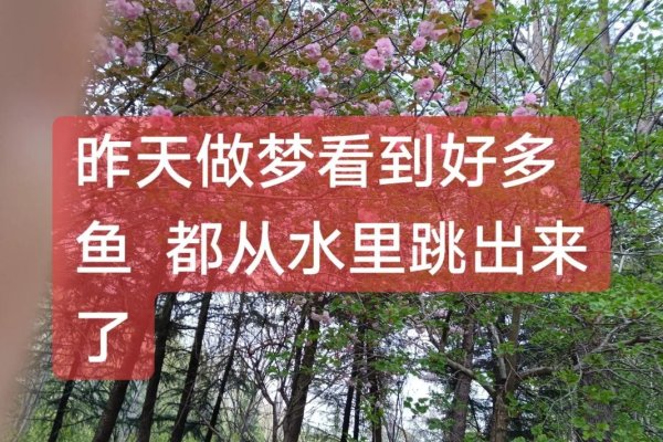 梦境之谜，梦见鱼从水里跳出来-新乐天