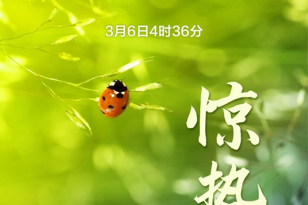 明年惊蛰，3月5日春回大地，农耕启程-新乐天