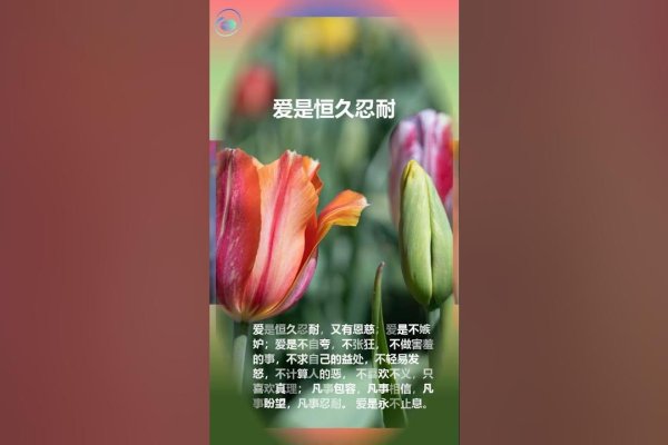 母亲节，温柔与关怀的永恒时刻-新乐天