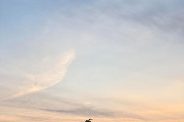 明天几点打春,开启诗意晨光之旅-新乐天