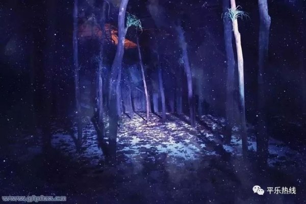 梦魇边缘，解析梦见满身虫子的深层含义与心理启示-新乐天