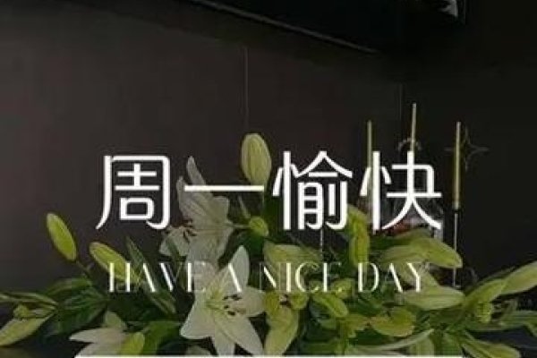 梦醒时分，与朋友共赴孕期新篇-新乐天