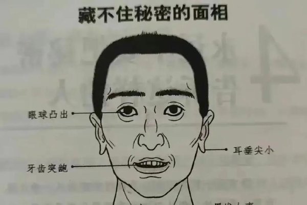 面相图解，透视人性的艺术与科学-新乐天