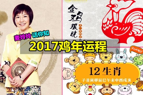 麦玲玲解析2016年生肖运程-新乐天