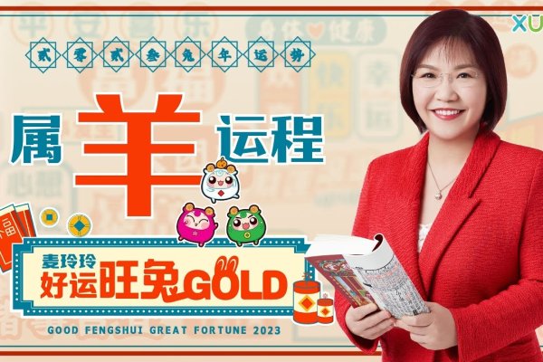 麦玲玲算命，一场未完的命理学之约-新乐天