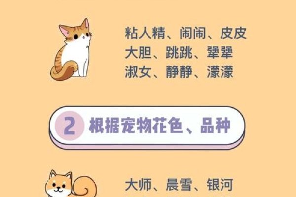 梦幻宠物名字，打造专属宠物的诗意与活力-新乐天