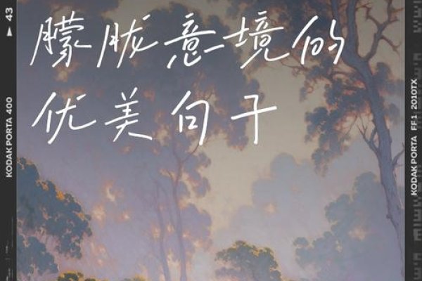 梦中的长白之发，探寻梦境背后的灵动与惊喜-新乐天