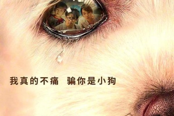 梦中的温柔呼唤，被狗咬的温柔与心声-新乐天