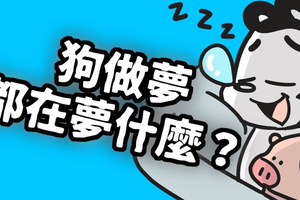 梦中的犬群，解密一群狗的梦境意象-新乐天