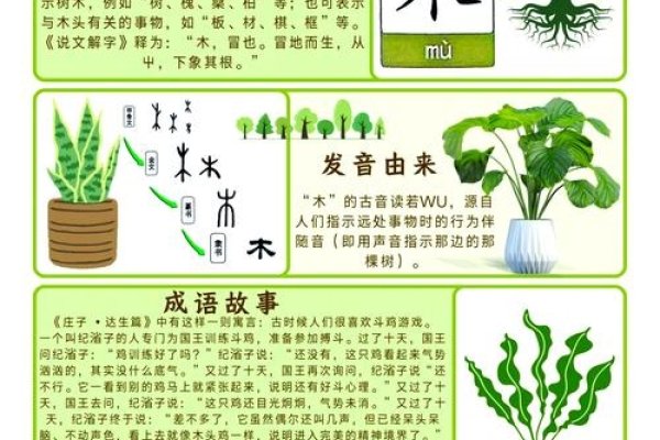 木字旁的汉字世界，探寻汉字的森林奥秘-新乐天
