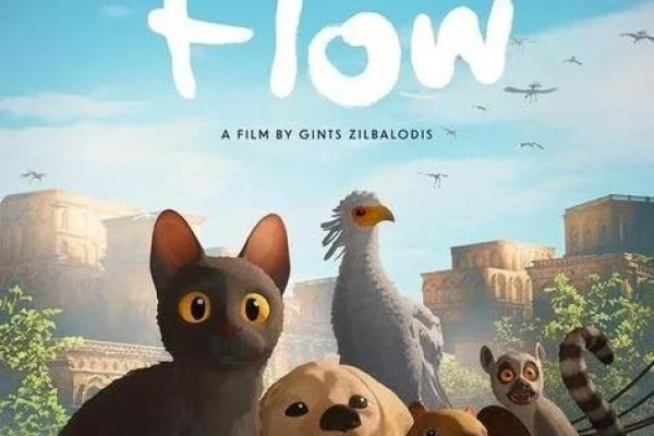 梦中惊魂，被猫追的奇幻之旅-新乐天