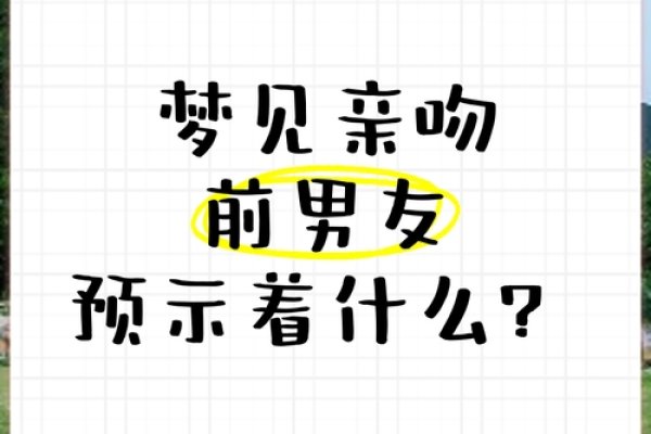 梦中与前男友的吻-新乐天