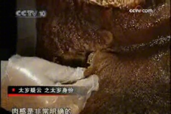 女记者揭秘太岁之谜，科学还是迷信？-新乐天