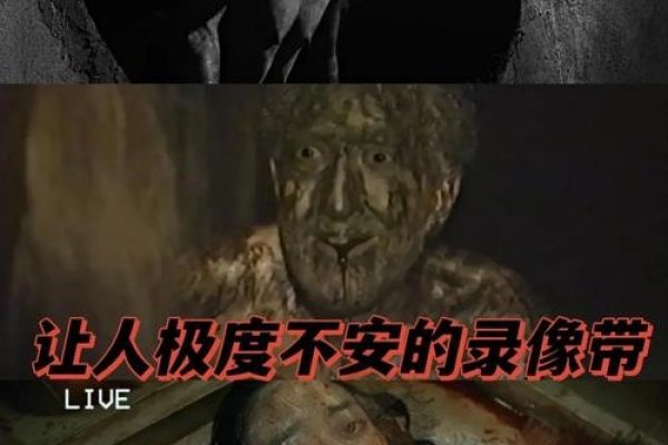 能看见鬼的十种人-新乐天