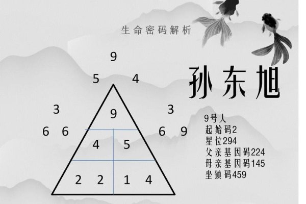 女命伤官伤尽，命运轨迹中的转机密码-新乐天