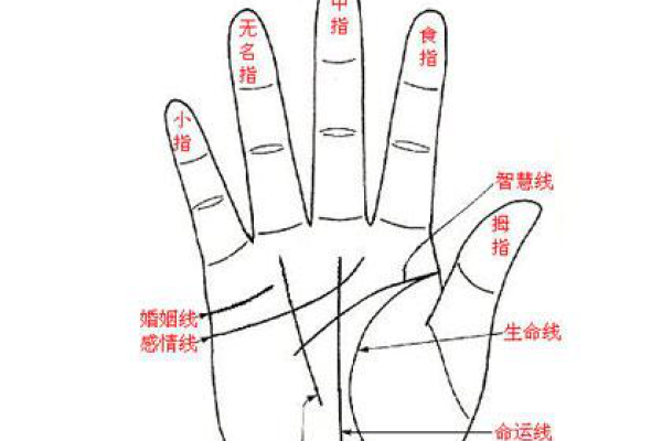 女人的面相与手相，解读神秘的生命密码-新乐天