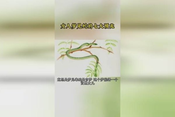 女人梦见蛇的七大预兆解析-新乐天