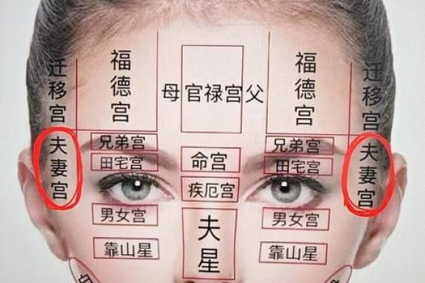 女人面相看婚姻，探寻婚姻背后的玄机-新乐天