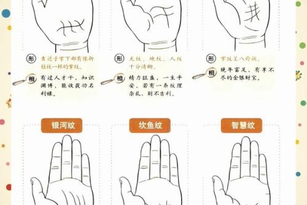 女人手相算命图解,解读手中的命运密码-新乐天
